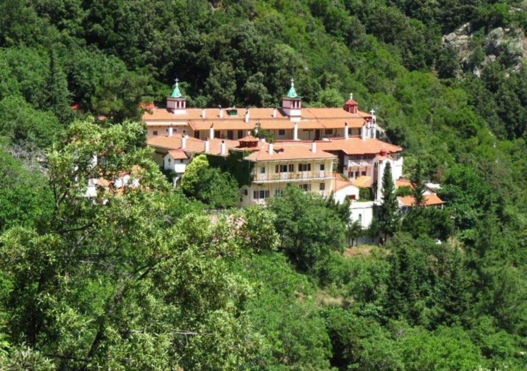 Ilias Appartements Tsaprounis Ellinika  Exterior photo
